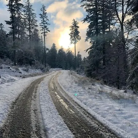 Le Nid Cosy D'obernai /2min Centre Ville/parking 別荘 オベルネ