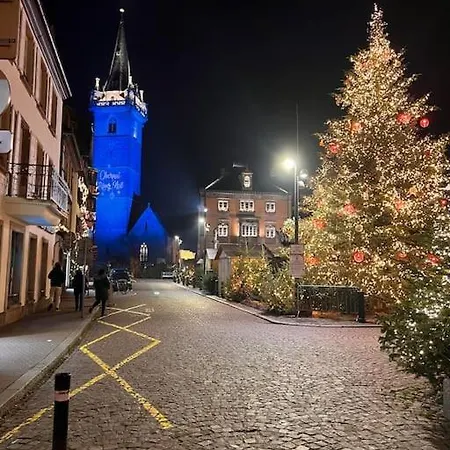 Le Nid Cosy D'obernai /2min Centre Ville/parking * オベルネ