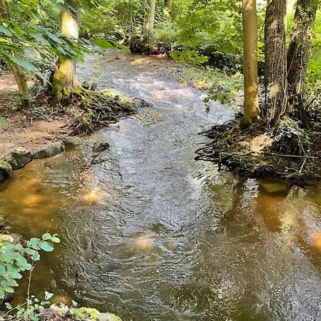 Le Nid Cosy D'obernai /2min Centre Ville/parking オベルネ