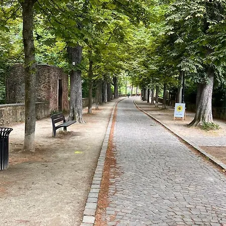 Le Nid Cosy D'obernai /2min Centre Ville/parking * オベルネ