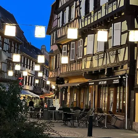 Hébergement de vacances Le Nid Cosy D'obernai /2min Centre Ville/parking
