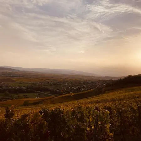 Le Nid Cosy D'obernai /2min Centre Ville/parking