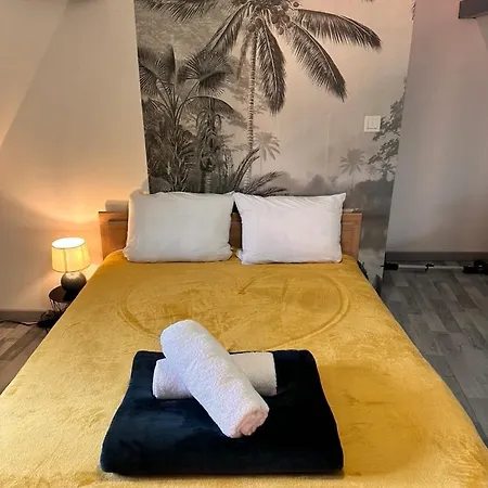 Le Nid Cosy D'obernai /2min Centre Ville/parking オベルネ