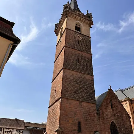 Vakantiehuis Le Nid Cosy D'obernai /2min Centre Ville/parking *