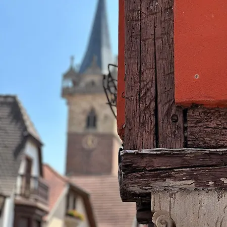 別荘 Le Nid Cosy D'obernai /2min Centre Ville/parking オベルネ