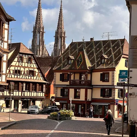 Le Nid Cosy D'obernai /2min Centre Ville/parking オベルネ