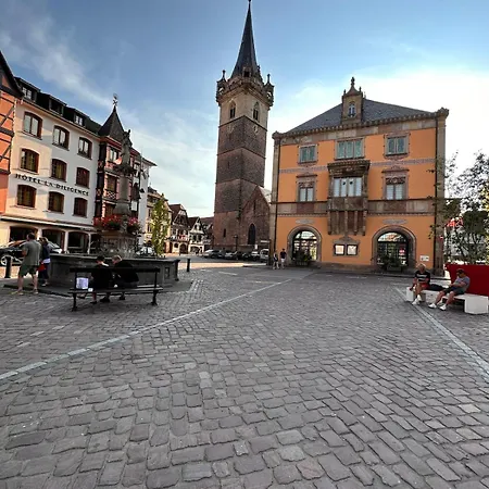 Le Nid Cosy D'obernai /2min Centre Ville/parking Vakantiehuis Obernai