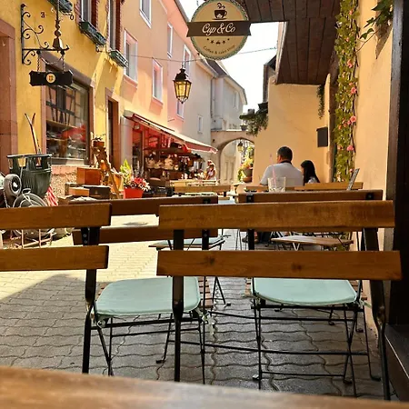 Le Nid Cosy D'obernai /2min Centre Ville/parking *