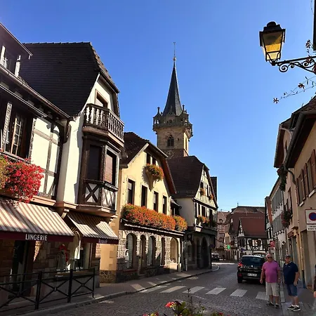 Le Nid Cosy D'obernai /2min Centre Ville/parking Obernai