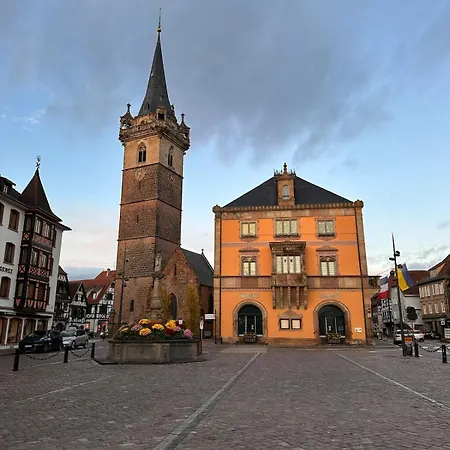 Le Nid Cosy D'obernai /2min Centre Ville/parking * オベルネ