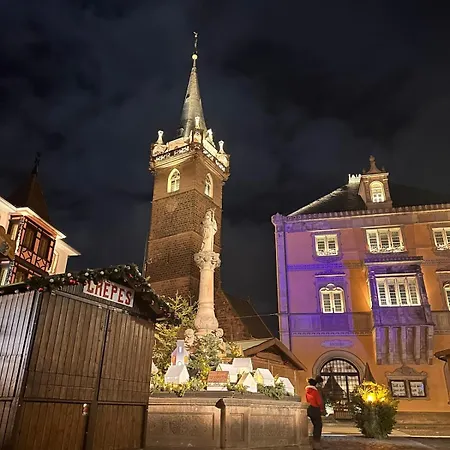 別荘 Le Nid Cosy D'obernai /2min Centre Ville/parking