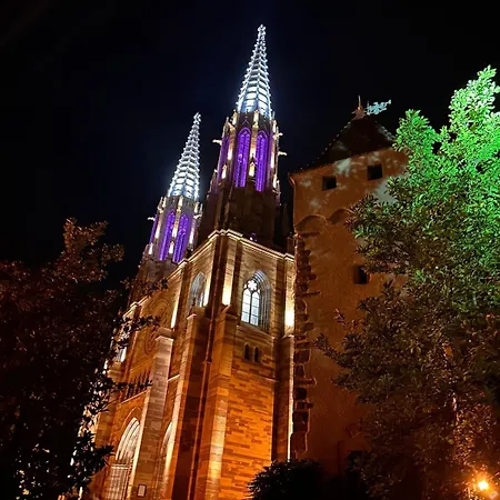 Le Nid Cosy D'obernai /2min Centre Ville/parking 別荘 *