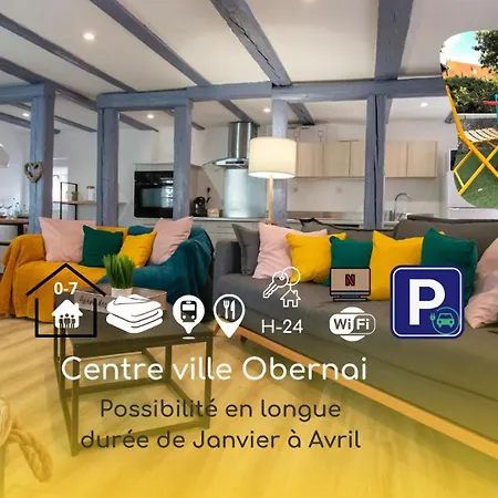 Le Nid Cosy D'obernai /2min Centre Ville/parking Holiday home Obernai