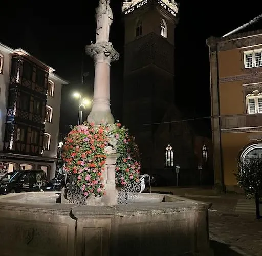 Le Nid Cosy D'obernai /2min Centre Ville/parking * Obernai