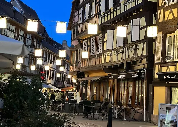 Vakantiehuis Le Nid Cosy D'obernai /2min Centre Ville/parking