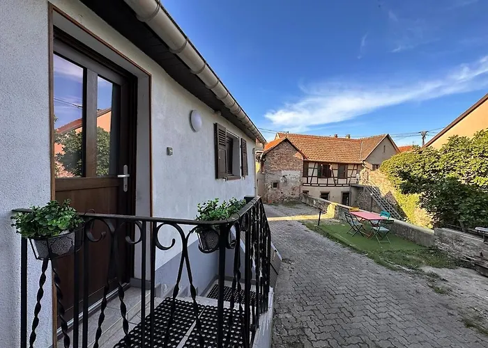 Le Nid Cosy D'obernai /2min Centre Ville/parking Vakantiehuis Obernai