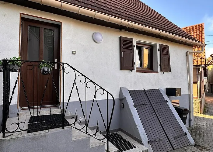 Vakantiehuis Le Nid Cosy D'obernai /2min Centre Ville/parking Obernai