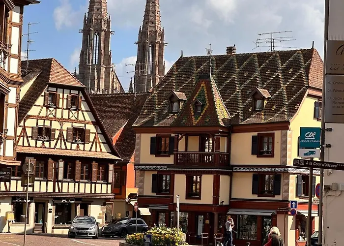 Le Nid Cosy D'obernai /2min Centre Ville/parking Obernai