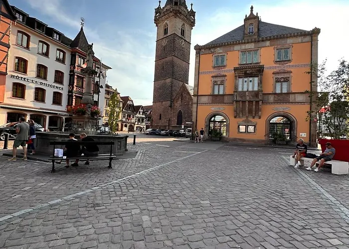 Le Nid Cosy D'obernai /2min Centre Ville/parking Vakantiehuis Obernai