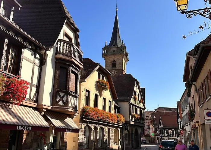 Le Nid Cosy D'obernai /2min Centre Ville/parking Obernai